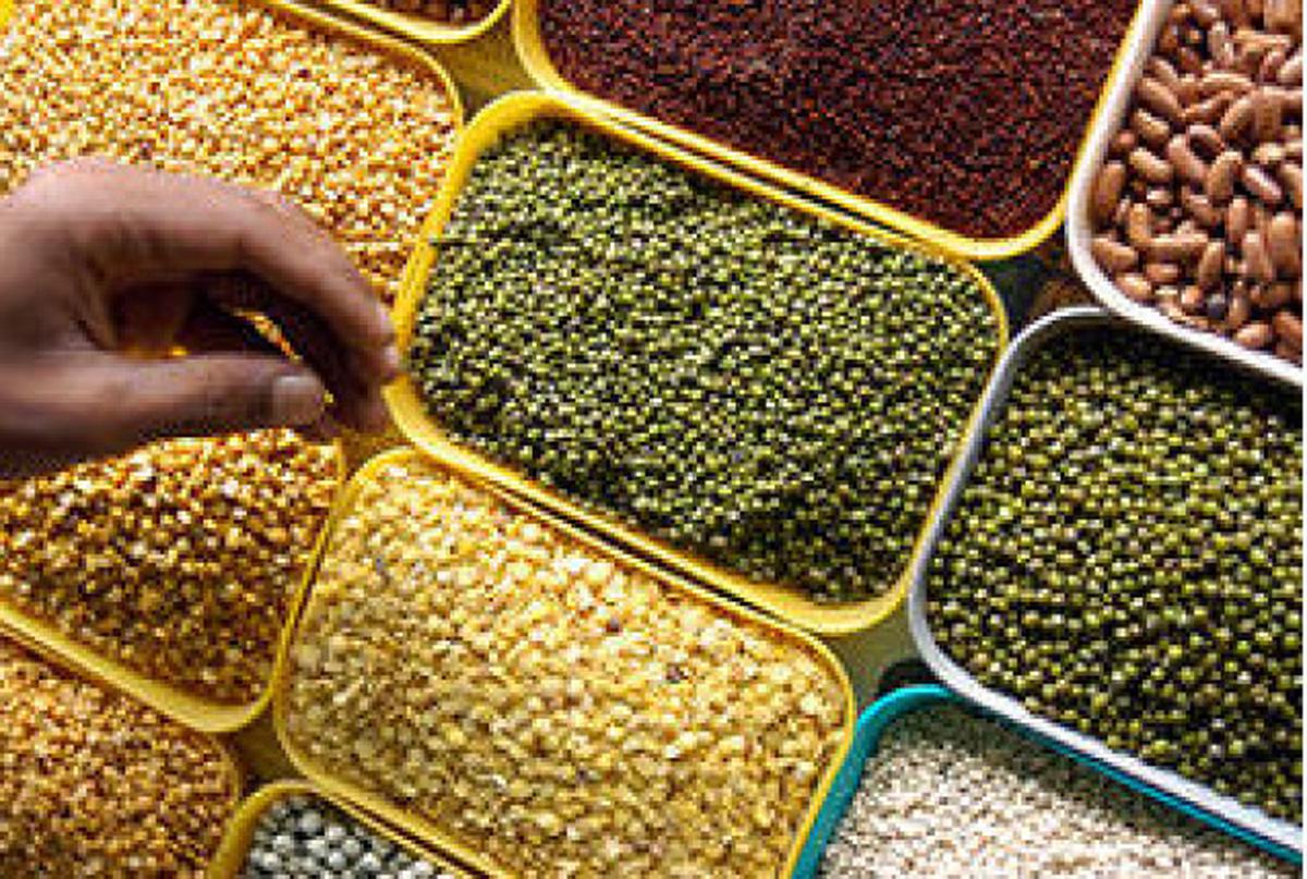 India may stock up imported tur, urad through NAFED