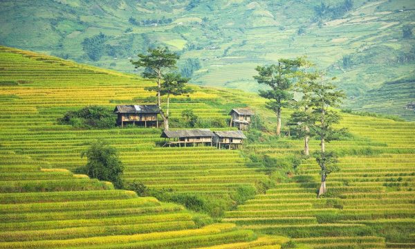 Pandemic-Proofing South Korea&rsquo;s Investment in Myanmar